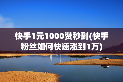 快手1元1000赞秒到(快手粉丝如何快速涨到1万)